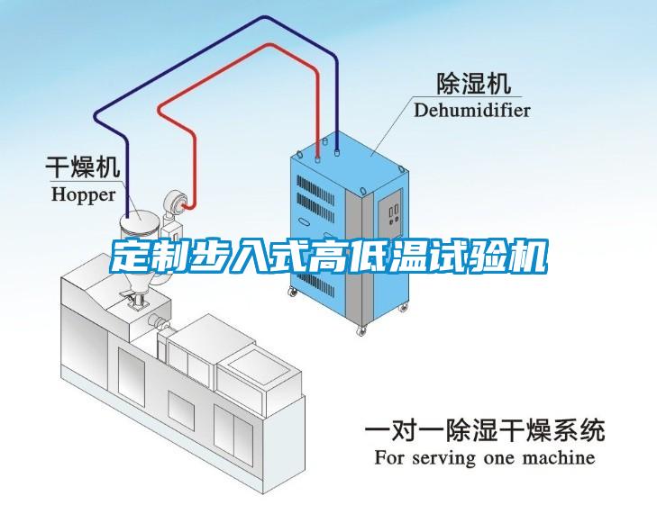 定制步入式高低溫試驗機(jī)