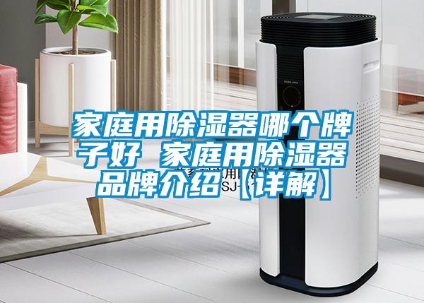 家庭用除濕器哪個牌子好 家庭用除濕器品牌介紹【詳解】