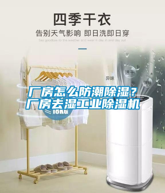 廠房怎么防潮除濕？廠房去濕工業(yè)除濕機(jī)