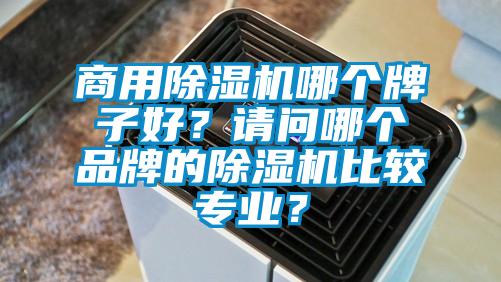 商用除濕機哪個牌子好？請問哪個品牌的除濕機比較專業(yè)？