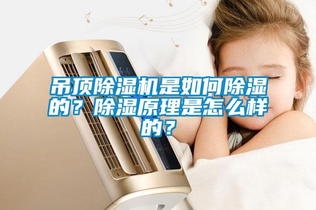 吊頂除濕機(jī)是如何除濕的？除濕原理是怎么樣的？