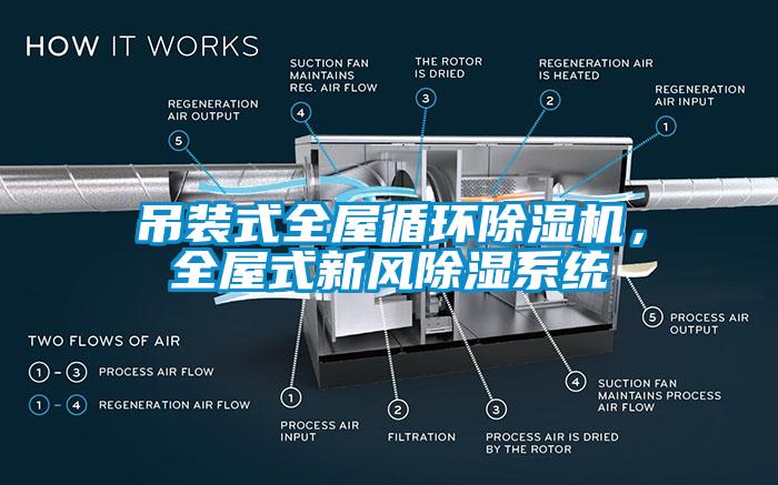 吊裝式全屋循環(huán)除濕機(jī)，全屋式新風(fēng)除濕系統(tǒng)