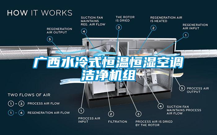 廣西水冷式恒溫恒濕空調潔凈機組