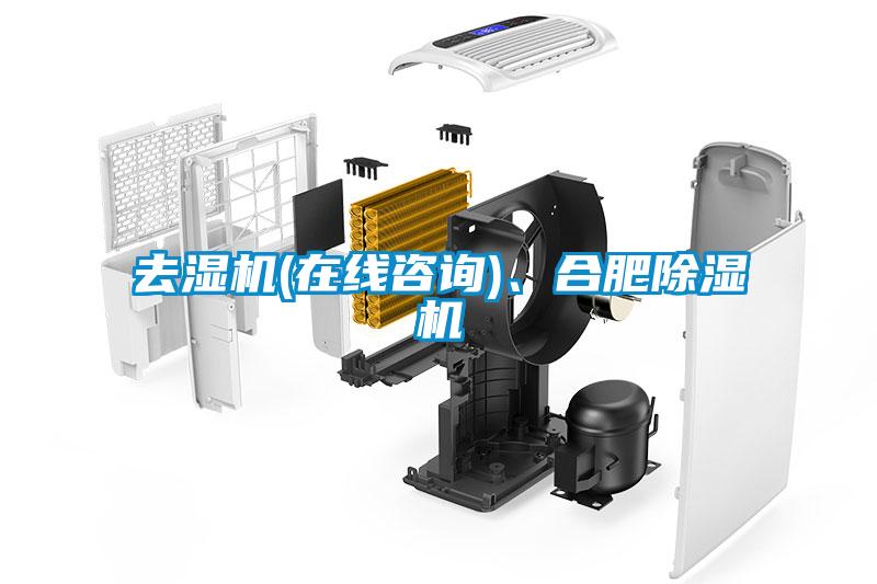 去濕機(在線咨詢)、合肥除濕機