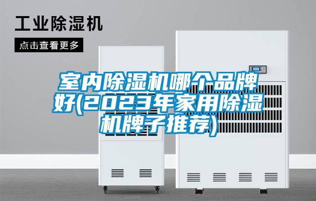 室內(nèi)除濕機哪個品牌好(2023年家用除濕機牌子推薦)