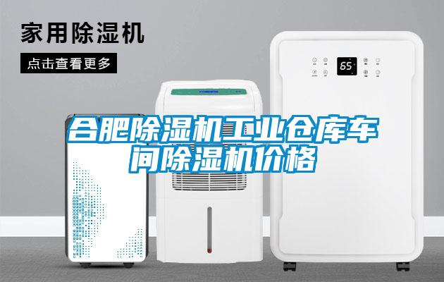 合肥除濕機工業(yè)倉庫車間除濕機價格