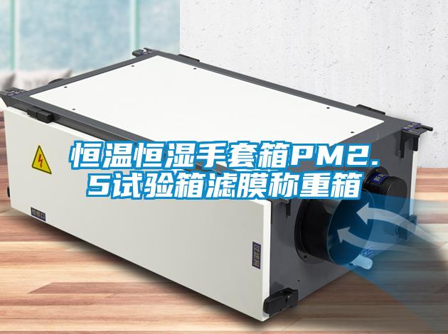 恒溫恒濕手套箱PM2.5試驗箱濾膜稱重箱