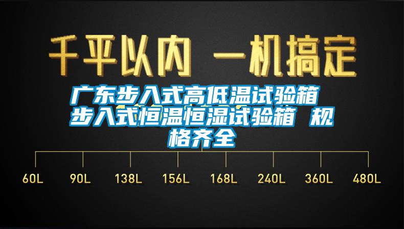 廣東步入式高低溫試驗(yàn)箱 步入式恒溫恒濕試驗(yàn)箱 規(guī)格齊全