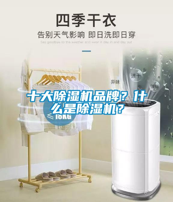 十大除濕機品牌？什么是除濕機？