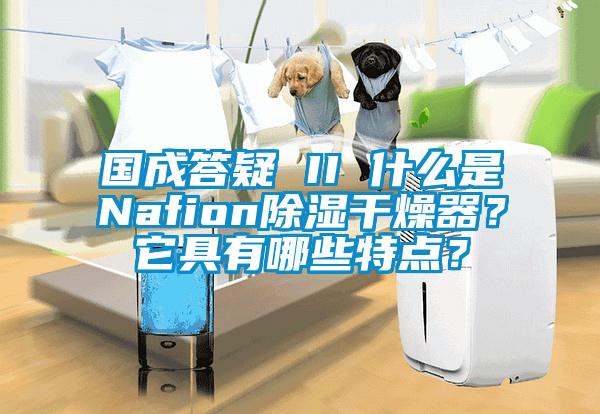 國成答疑 II 什么是Nafion除濕干燥器？它具有哪些特點(diǎn)？