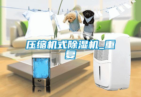 壓縮機式除濕機_重復(fù)