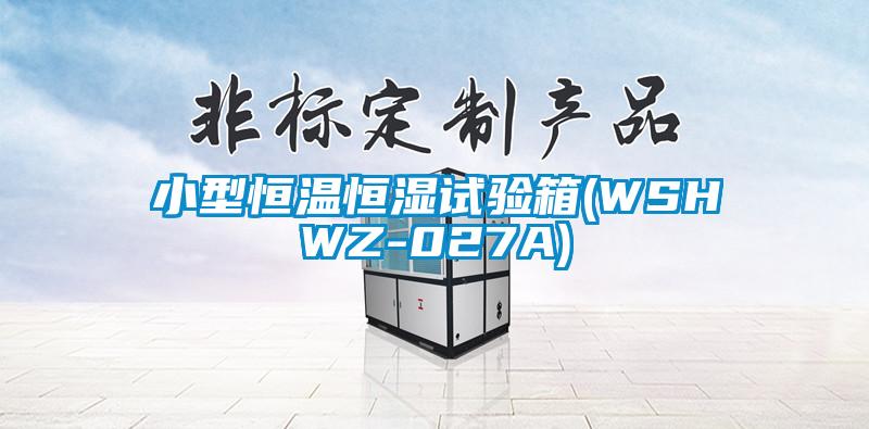 小型恒溫恒濕試驗箱(WSHWZ-027A)