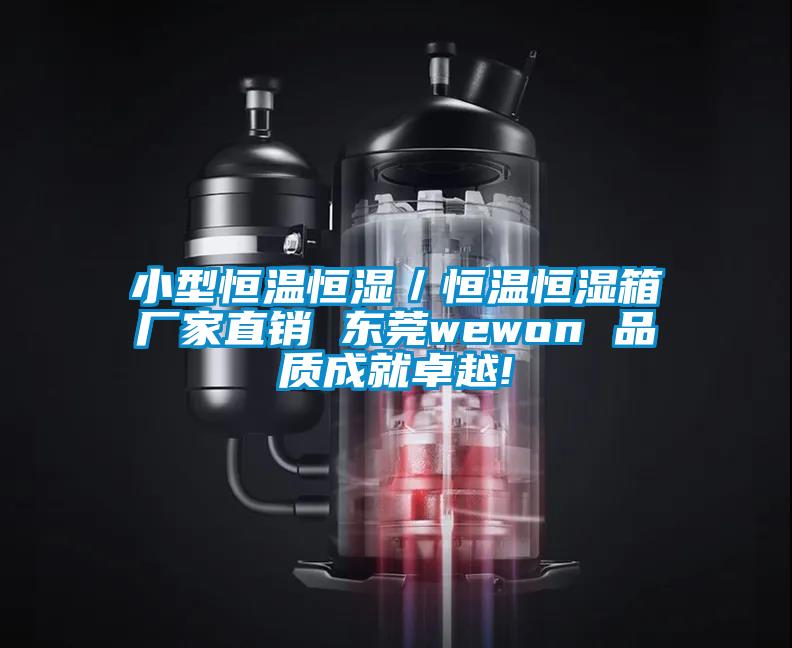 小型恒溫恒濕／恒溫恒濕箱廠家直銷(xiāo) 東莞wewon 品質(zhì)成就卓越!