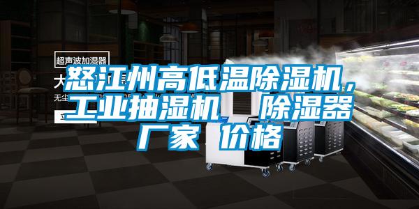 怒江州高低溫除濕機，工業(yè)抽濕機  除濕器廠家 價格