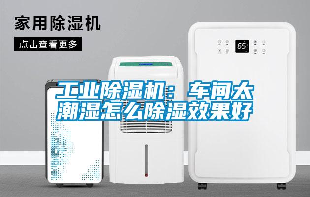 工業(yè)除濕機：車間太潮濕怎么除濕效果好