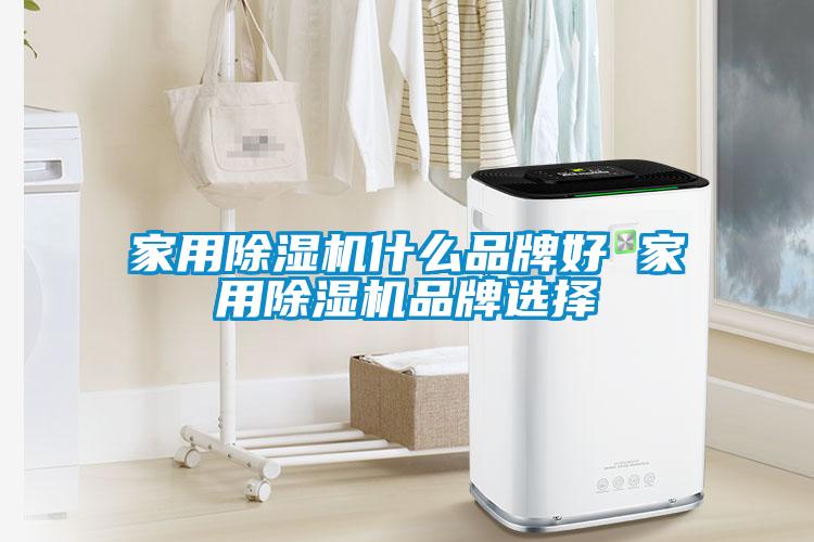 家用除濕機(jī)什么品牌好 家用除濕機(jī)品牌選擇