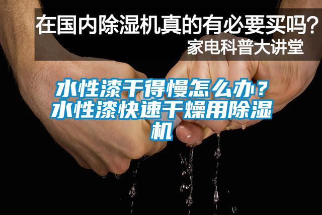 水性漆干得慢怎么辦？水性漆快速干燥用除濕機(jī)