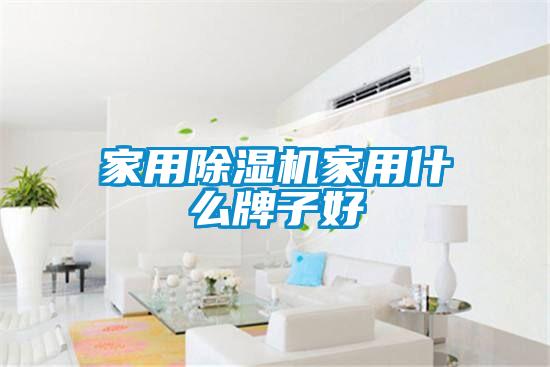 家用除濕機家用什么牌子好