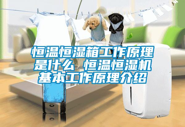 恒溫恒濕箱工作原理是什么 恒溫恒濕機(jī)基本工作原理介紹