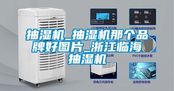 抽濕機_抽濕機那個品牌好圖片_浙江臨海抽濕機