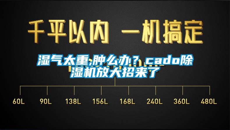 濕氣太重,腫么辦？cado除濕機(jī)放大招來了