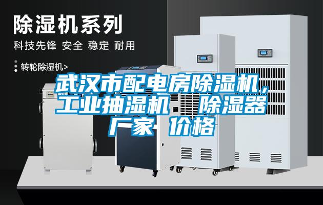 武漢市配電房除濕機(jī)，工業(yè)抽濕機(jī)  除濕器廠家 價(jià)格