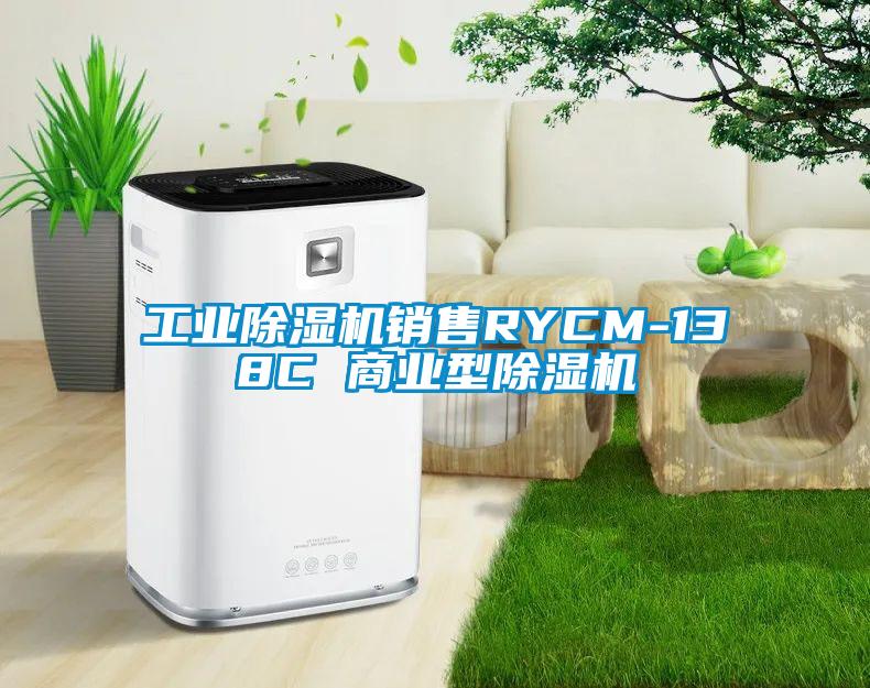 工業(yè)除濕機(jī)銷售RYCM-138C 商業(yè)型除濕機(jī)