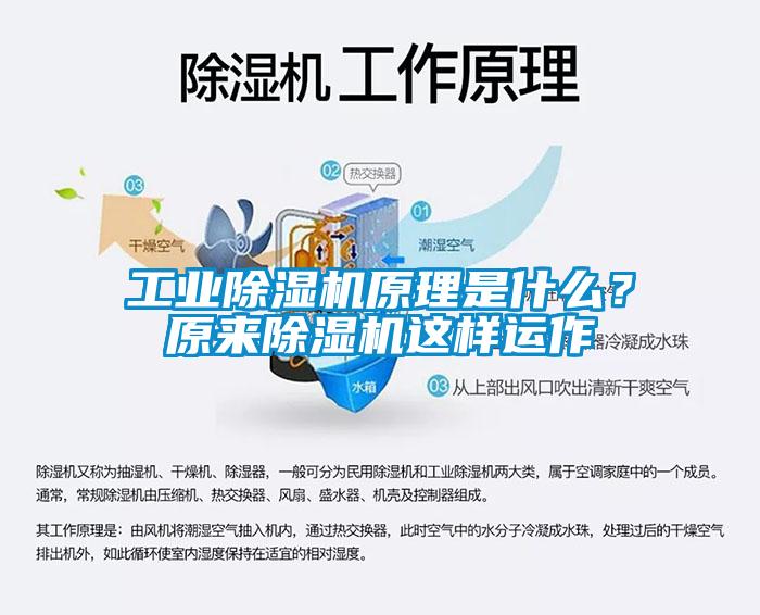 工業(yè)除濕機原理是什么？原來除濕機這樣運作