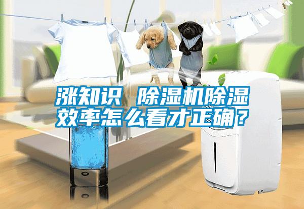 漲知識(shí) 除濕機(jī)除濕效率怎么看才正確？