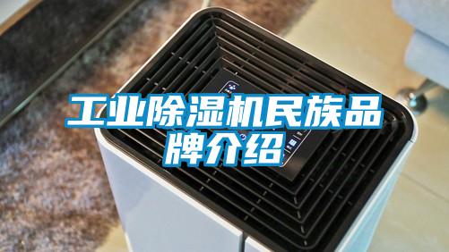 工業(yè)除濕機民族品牌介紹