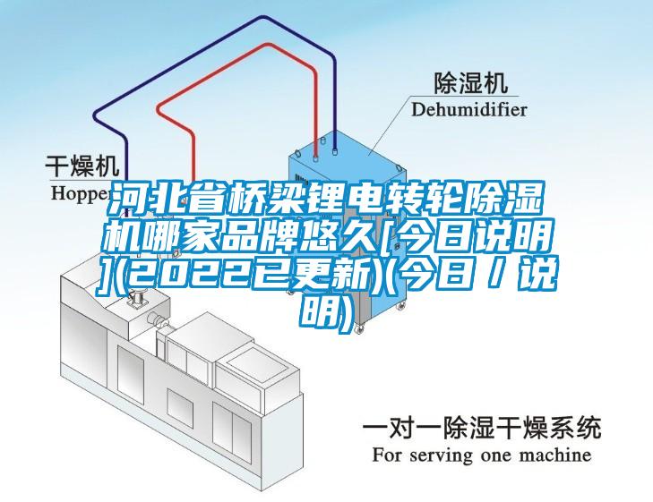 河北省橋梁鋰電轉(zhuǎn)輪除濕機(jī)哪家品牌悠久[今日說明](2022已更新)(今日／說明)