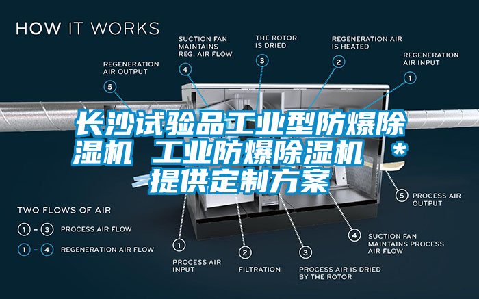 長沙試驗品工業(yè)型防爆除濕機 工業(yè)防爆除濕機 ＊提供定制方案