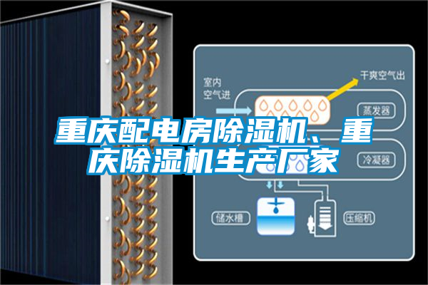 重慶配電房除濕機、重慶除濕機生產(chǎn)廠家