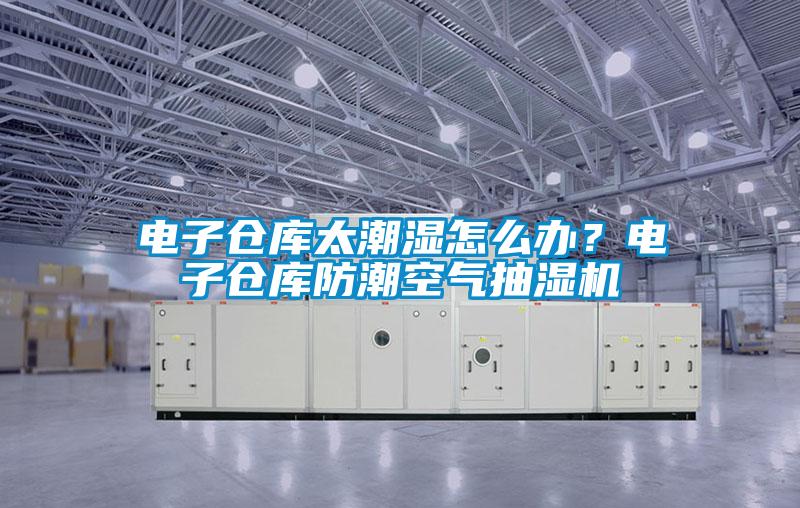 電子倉庫太潮濕怎么辦？電子倉庫防潮空氣抽濕機