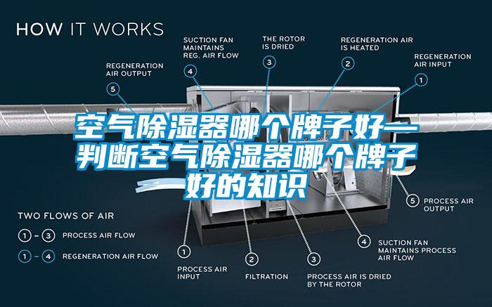 空氣除濕器哪個牌子好—判斷空氣除濕器哪個牌子好的知識