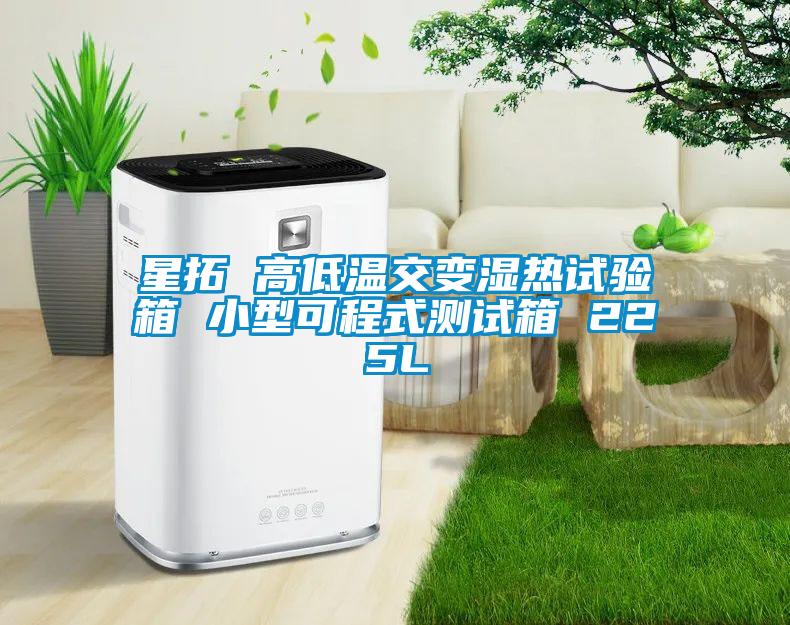 星拓 高低溫交變濕熱試驗(yàn)箱 小型可程式測(cè)試箱 225L