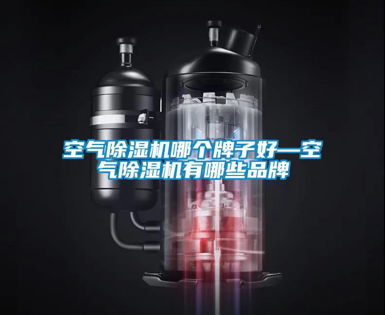 空氣除濕機(jī)哪個牌子好—空氣除濕機(jī)有哪些品牌