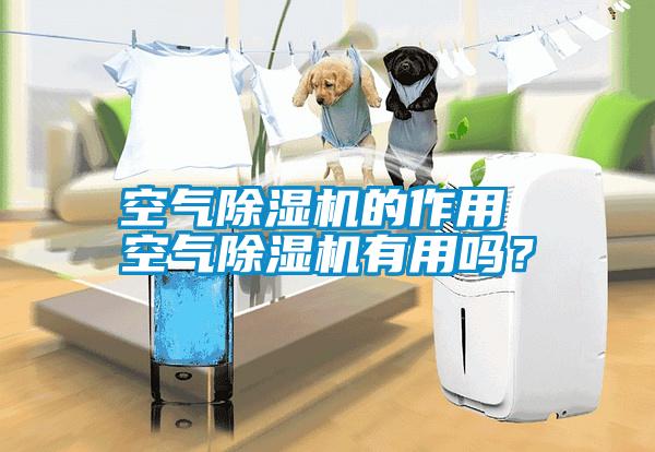 空氣除濕機的作用 空氣除濕機有用嗎？