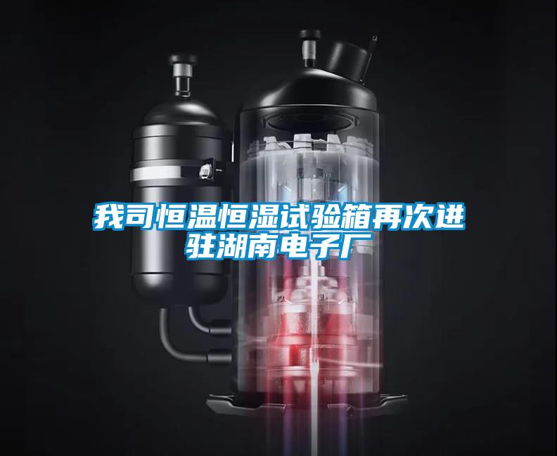 我司恒溫恒濕試驗箱再次進駐湖南電子廠