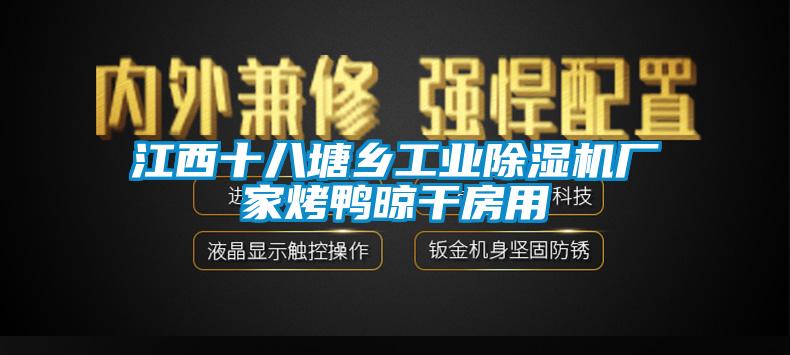 江西十八塘鄉(xiāng)工業(yè)除濕機廠家烤鴨晾干房用