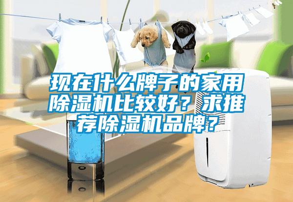 現(xiàn)在什么牌子的家用除濕機比較好？求推薦除濕機品牌？