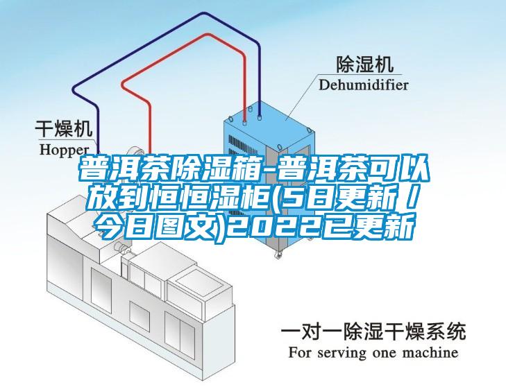 普洱茶除濕箱-普洱茶可以放到恒恒濕柜(5日更新／今日圖文)2022已更新