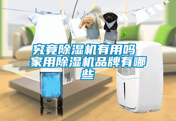 究竟除濕機有用嗎 家用除濕機品牌有哪些