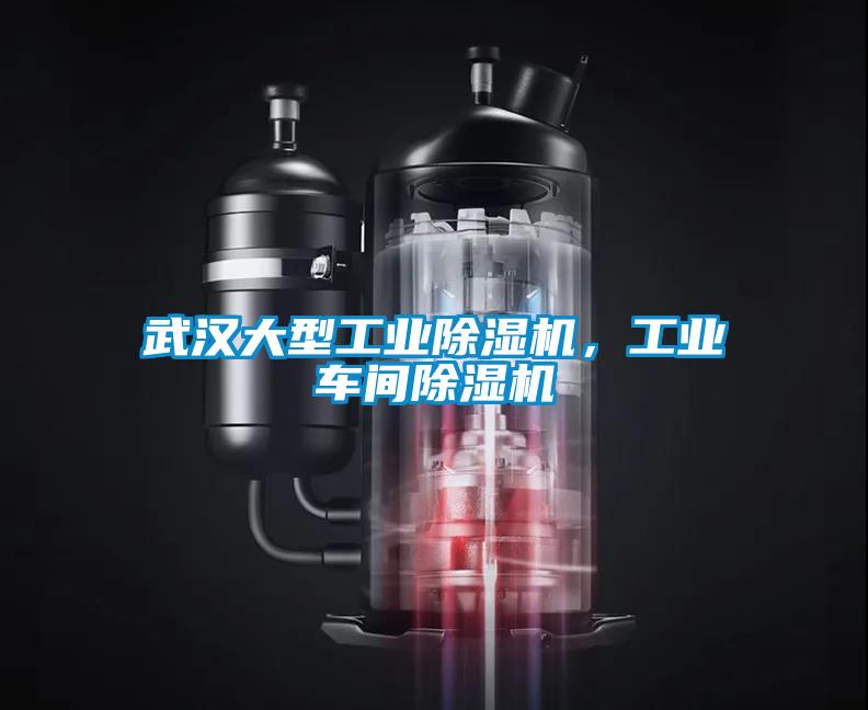 武漢大型工業(yè)除濕機(jī)，工業(yè)車間除濕機(jī)