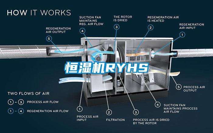 恒濕機(jī)RYHS