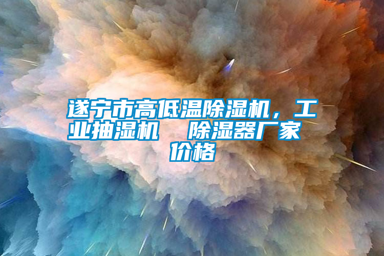 遂寧市高低溫除濕機，工業(yè)抽濕機  除濕器廠家 價格