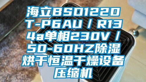 海立BSD122DT-P6AU／R134a單相230V／50-60HZ除濕烘干恒溫干燥設(shè)備壓縮機