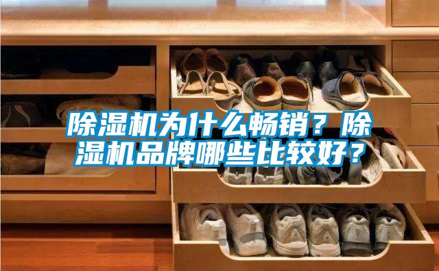 除濕機(jī)為什么暢銷？除濕機(jī)品牌哪些比較好？