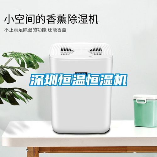 深圳恒溫恒濕機