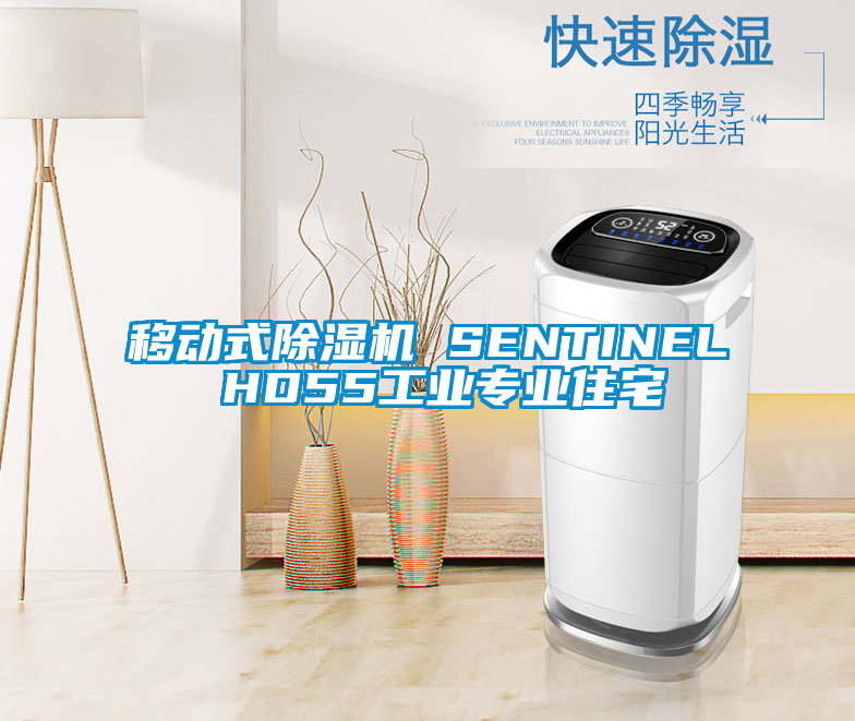 移動式除濕機(jī) SENTINEL HD55工業(yè)專業(yè)住宅